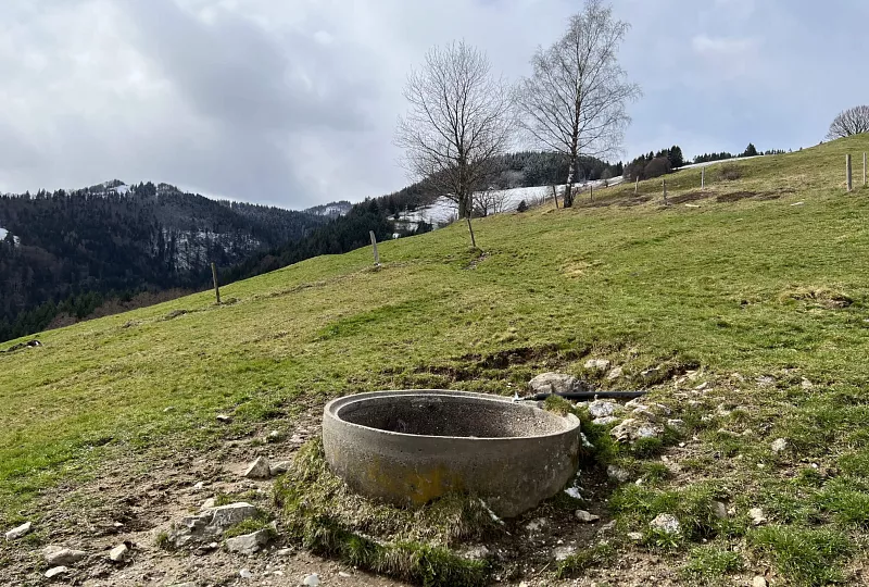 Weidewasserversorgung am Belchen, Pilotprojekt